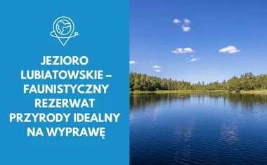 Jezioro Lubiatowskie  faunistyczny rezerwat przyrody idealny na wyprawę