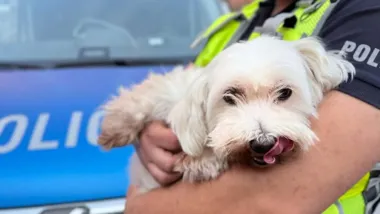 Policjanci pomogli Lulci odnaleźć dom - Aktualności Komenda Powiatowa Policji w Kołobrzegu