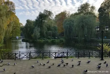 Darginia na podium regionu – uczniowie SP pokazali serce do gry w koszykówce