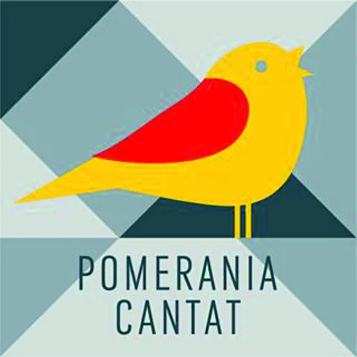 Grafika promocyjna wydarzenia IX Bałtycki Konkurs Chórów Pomerania Cantat Koszalin 2026