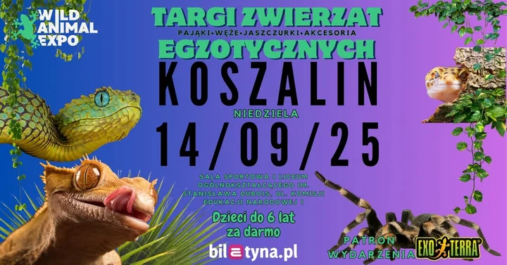 Obrazek przedstawia grafikę promocyjną wydarzenia Targi zwierząt egzotycznych w Koszalinie
