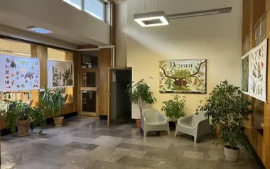 Drzewa w KBP - wystawa, która pokazuje las z zupełnie innej strony