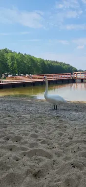 Rajska Plaża w Poroście nabiera kształtów. Piasek już jest, pływaki czekają na wodę