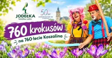 Koszalin posadzi 760 krokusów - wiosną zakwitnie miejska historia