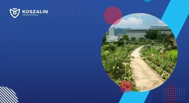 Konkurs Przyjazne Ogrody 2026 – nagrody do 40 000 zł dla działkowców