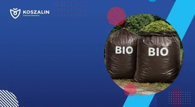 Co można wystawić do odbioru – zasady segregacji odpadów zielonych w Koszalinie