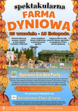 Ponad 130 odmian dyń w jednym miejscu. Jesienne święto w Dobrzycy