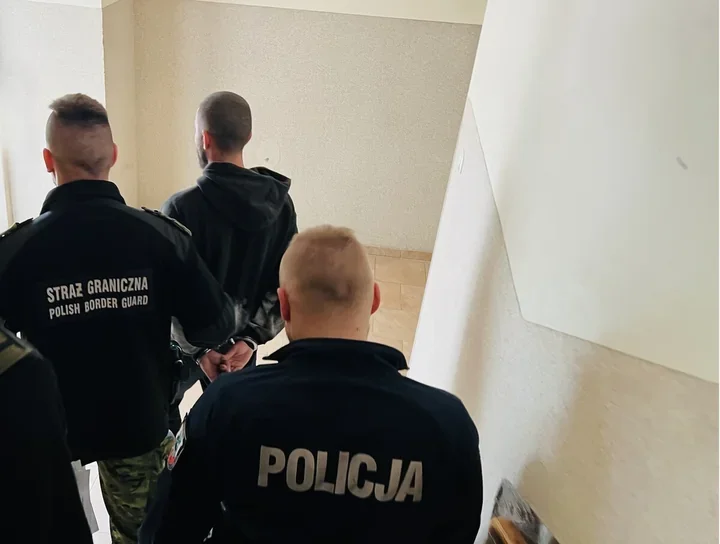 Promile, drzewo i deportacja - koszalińska interwencja miała dwa finały