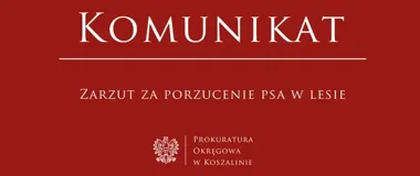 Pies znaleziony w lesie. 47-latek usłyszał zarzut, grozi mu 5 lat więzienia