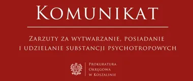 34-latek z zarzutami dotyczącymi narkotyków, amunicji i treści pornograficznych